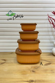 ظرف نگهدارنده آنکسیا مدل هایلین مربع مجموعه 4 عددی